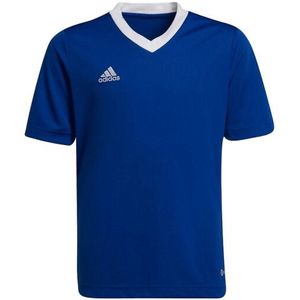 Adidas - Entrada 22 - Trainings Jersey - Korte Mouwen - 100% Gerecycled Polyester