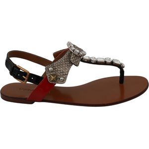 Dolce Gabbana - Thong Sandals - Bruin - Plat