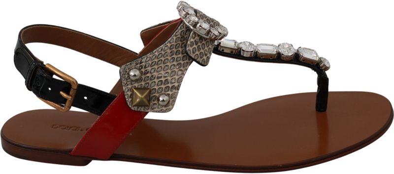 Dolce Gabbana - Thong Sandals - Bruin - Plat
