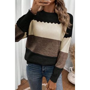 Kleurblok Gebreide Pullover Trui