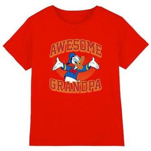 Disney Kinderen/kinderen geweldig opa donald duck t-shirt