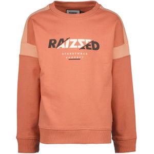 Raizzed Jongens sweater jamison