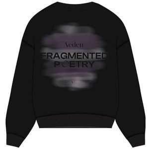 Aeden Official Sweatshirt A22243090 DIDIER Zwart