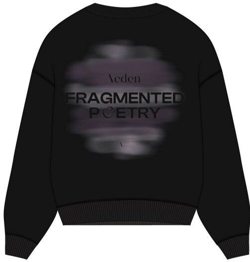Aeden Official Sweatshirt A22243090 DIDIER Zwart