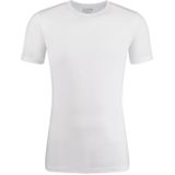 Slater T-shirt r-neck basic fit 2-pack