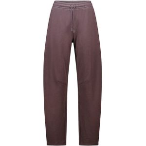 America Today Camelia