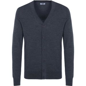 Iceberg - Cardigan - Grijs - Katoen