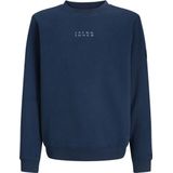 JACK&JONES - JCOPOINT SWEAT BADGE CREW NECK BF JNR - Jongens - Sweaters