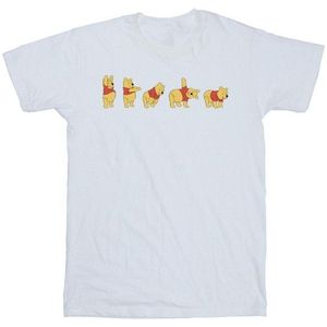 Li-cense Disney heren winnie de poeh strek t-shirt