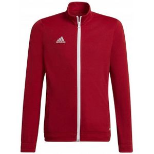 Adidas - Entrada 22 - Jas - 100% Gerecycled Polyester - Met Lange Mouwen