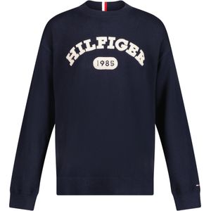 Tommy Hilfiger Kinder jongens trui