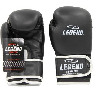 Legend Sports Kinder bokshandschoenen 1-5 jaar pu