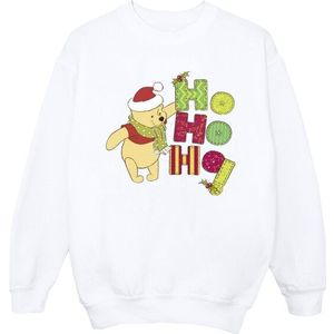 Li-cense Disney dames winnie the pooh ho ho ho sjaal sweatshirt