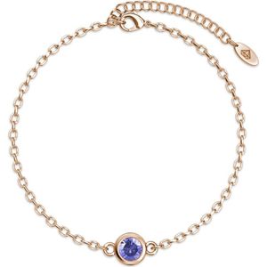 Geboortesteen Armbanden - Roségoud - Oostenrijks Kristal - Paars