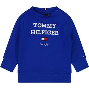 Tommy Hilfiger Baby jongens trui