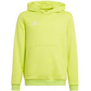 Adidas - Entrada 22 - Hoodie - Effen - Kinderen