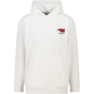 America Today Storm hood