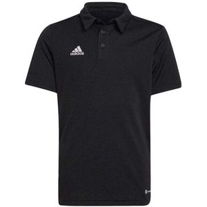 Adidas - Entrada 22 - Poloshirt - 100% Gerecycled Polyester