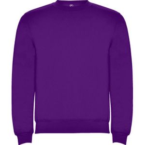 Roly Kinderen/kinderen clasica sweatshirt met ronde hals