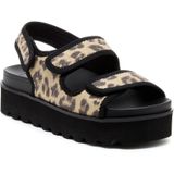 Rocket Dog - Balmy Dexter - Sandalen - Bruin/Zwart