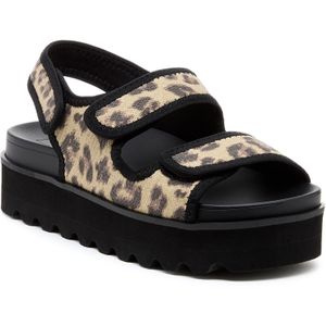 Rocket Dog - Balmy Dexter - Sandalen - Bruin/Zwart