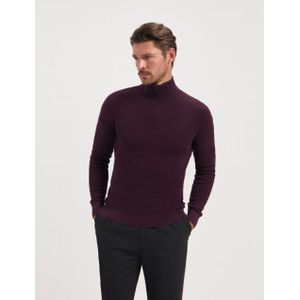 Saint Steve Dominic 240906 80012 plum melange heren trui