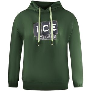 Ice Iceberg - Bold Blocked Logo - Hoodie - Groen