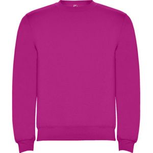 Roly Kinderen/kinderen clasica sweatshirt met ronde hals