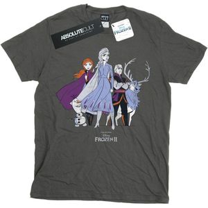 Li-cense Disney heren frozen 2 distressed group t-shirt