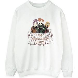 Li-cense Disney heren hocus pocus sanderson zuster sweatshirt