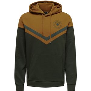 Only & Sons Onsnewwagner reg sweat hoodie cs