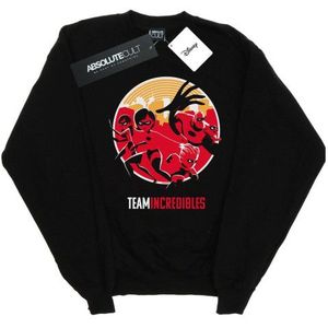 Li-cense Disney heren incredibles 2 team incredibles sweatshirt