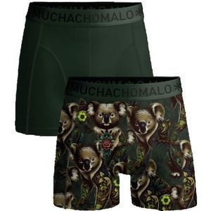 Muchachomalo Men 2-pack boxer shorts koala -