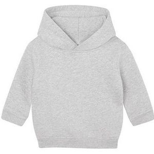 Babybugz Baby hoodie