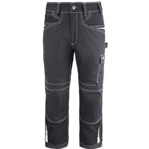 Dickies - Eisenhower Extreme - Werkbroek - Grijs