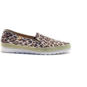 Verbenas - Leopardo Pequeno - Instappers - Leopardo - Leer