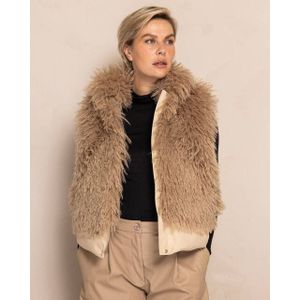 Zhrill - ZJ160-N3020 - Bodywarmer - Taupe