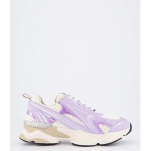 Steve Madden Dames speedster-e sneaker