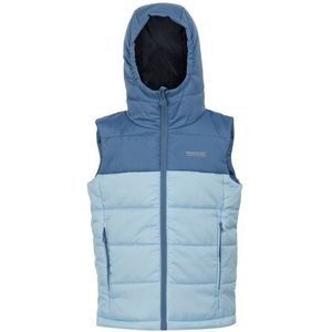 Regatta Kinder/kinder lofthouse ii gilet