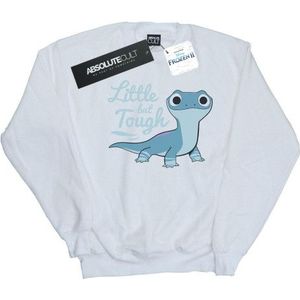 Li-cense Disney heren frozen 2 salamander bruni stoer sweatshirt