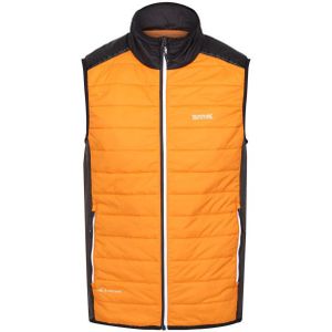Regatta - Gilet - Zwart - Elastaan, Polyamide, Polyester - Gewatteerd
