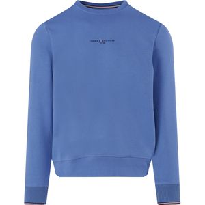 Tommy Hilfiger Menswear sweater