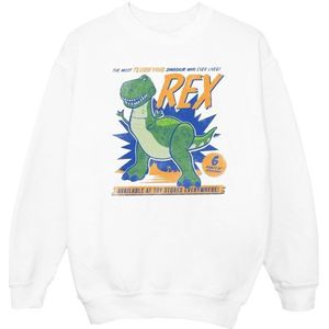 Li-cense Disney dames toy story 4 rex angstaanjagend dinosaurus sweatshirt