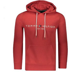 Tommy Hilfiger Logo hoody-empire flame