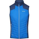 Regatta Heren halton vi lichtgewicht body warmer