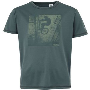 Regatta - Alvarado IX - Fietsshirt - 100% Gerecycled Polyester - Korte Mouwen