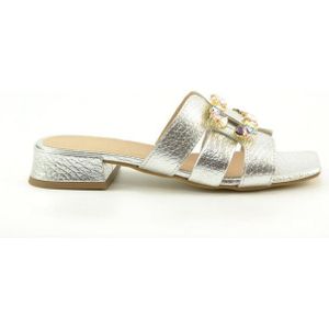 Gianluca Pisati - Idra Slippers - Lam Argento - Gezondheidsslippers