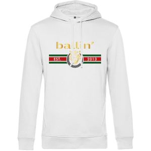 Ballin Est. 2013 Tiger lines hoodie