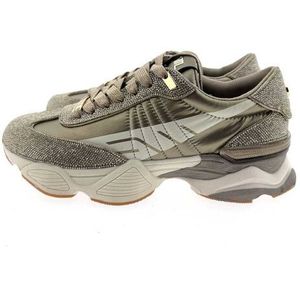 Steve Madden - Setback-R - Sneaker - Goud