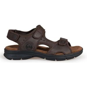 Panama Jack Salton basics c1 napa grass marron / brown